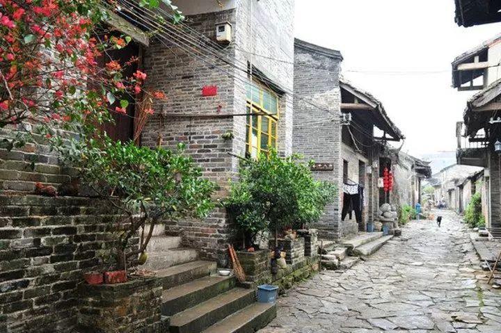 赵燕、俞渝与任泉讨论如何保持年轻